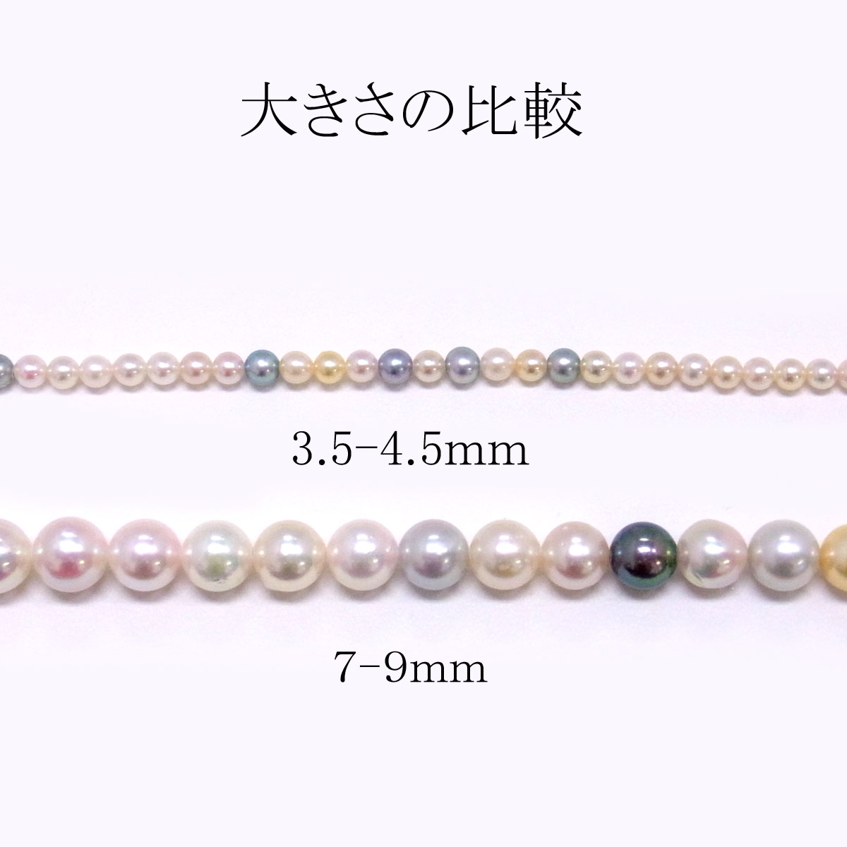 アコヤ真珠 ベビーパールネックレス マルチカラー 3.5-4.5mm 限定品