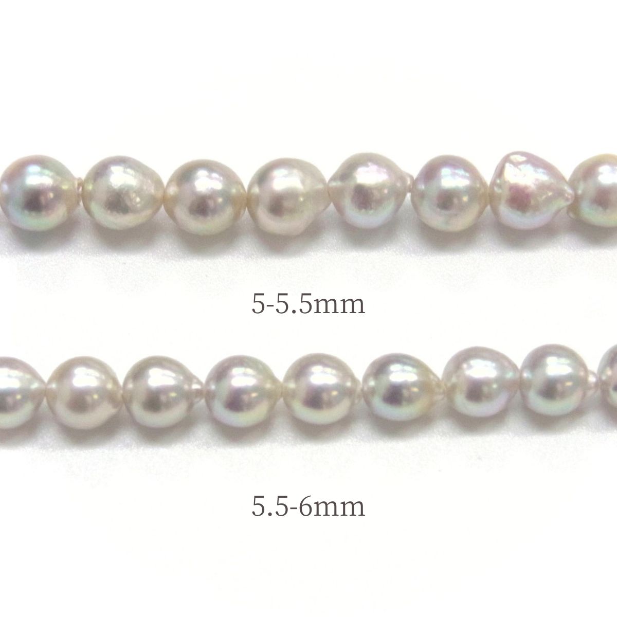 #C56  5-5.5mm天然無調色アコヤ本真珠ネックレス　シルバー925金具約5-55mm真珠のキズ